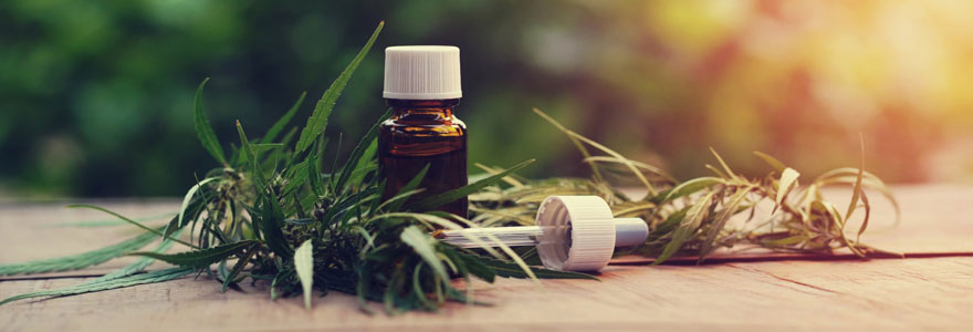 Conseils pour utiliser le CBD