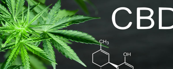 CBD à Paris