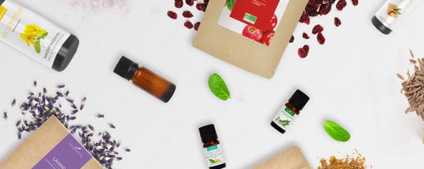 phytothérapie en cuisine