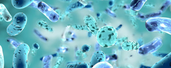 probiotiques